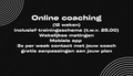 Online coaching (12 weken)